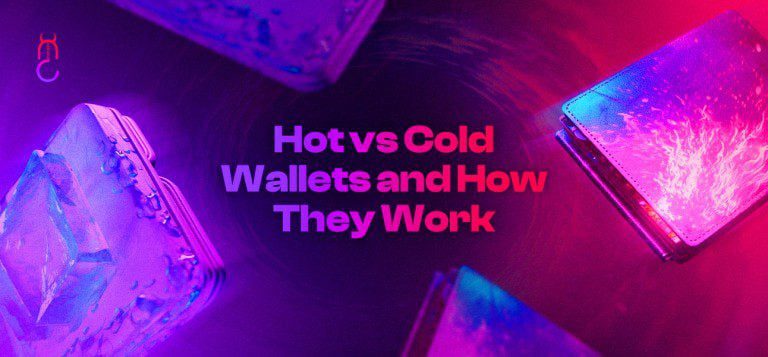 Hot vs Cold Wallets and How They Work