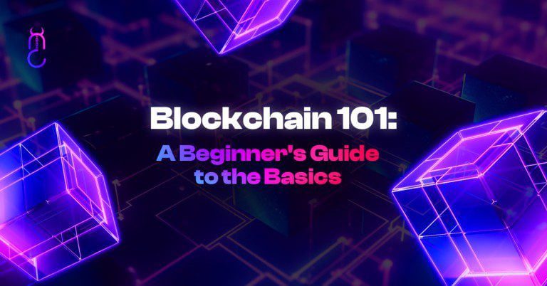 A Beginner's Guide to the Basics