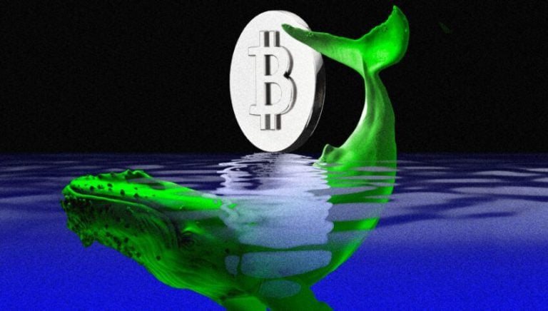 USA Bitcoin Whales Could Trigger BTC Price Rally If This Happens