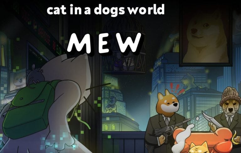 What is cat in a dogs world coin? MEW Memecoin Explained!